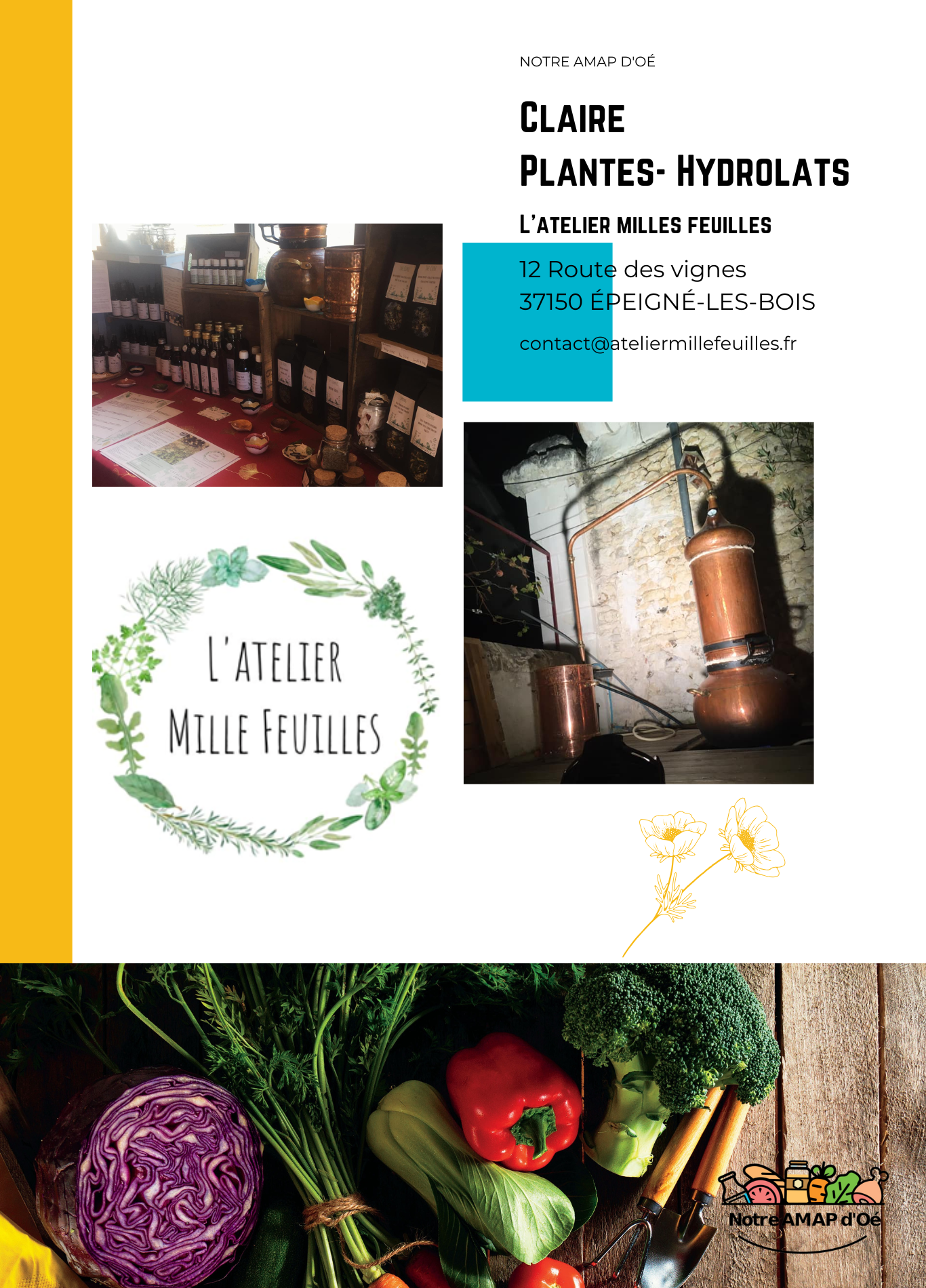 Claire - Herboriste.png